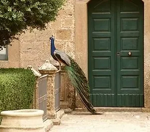 Hotel Savoca